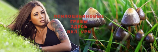 ешки Белоозёрский
