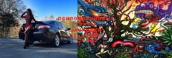 трава Белокуриха