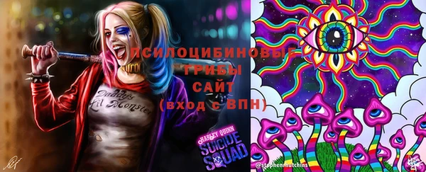 ешки Белоозёрский