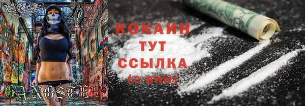 трава Белокуриха