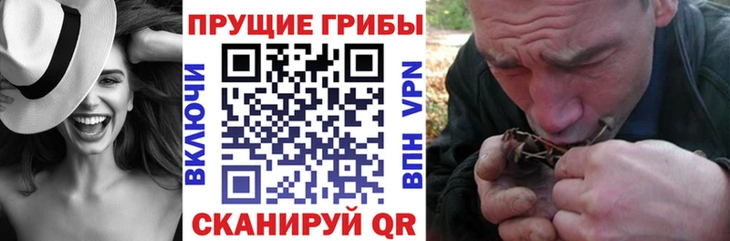 Псилоцибиновые грибы GOLDEN TEACHER  Бор 